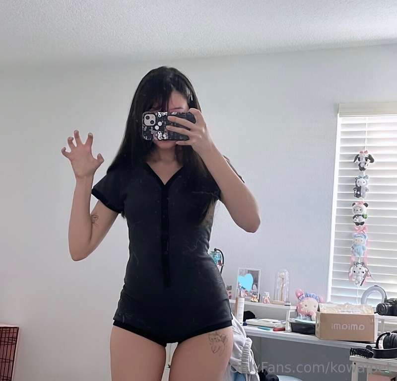 kowaipet