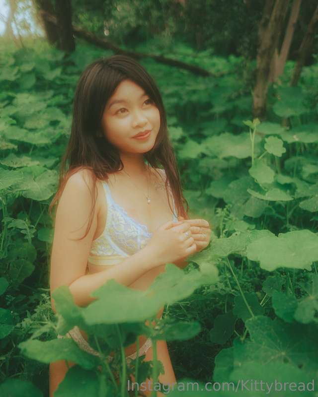 kittybread