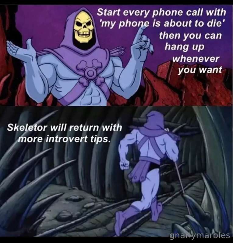 media