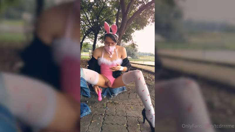 #oldxtubevideo

bunny adventure in park 1

Pink bunny outdoo..