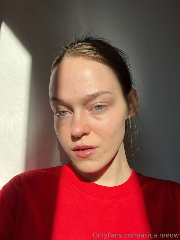 asica.meow