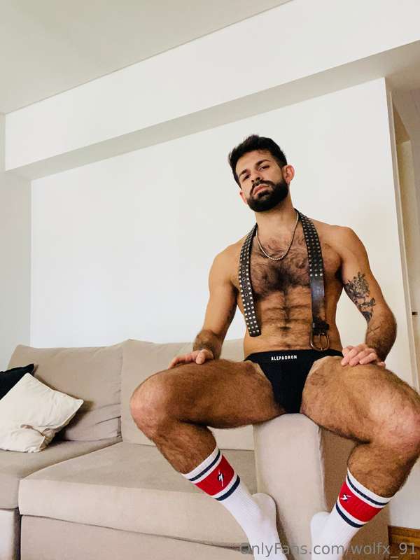 wolfx_91