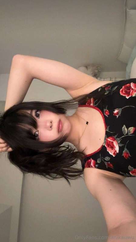 anikauwu