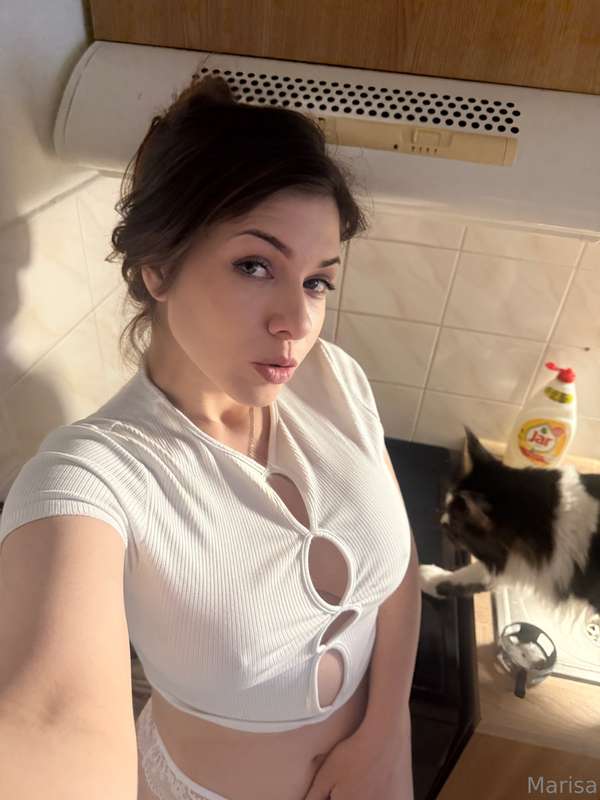 majakitty