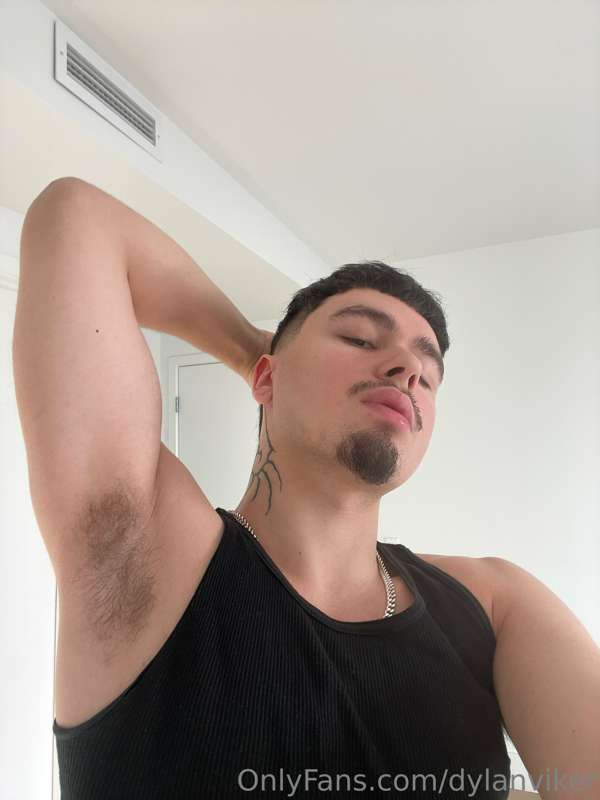 dylanviker