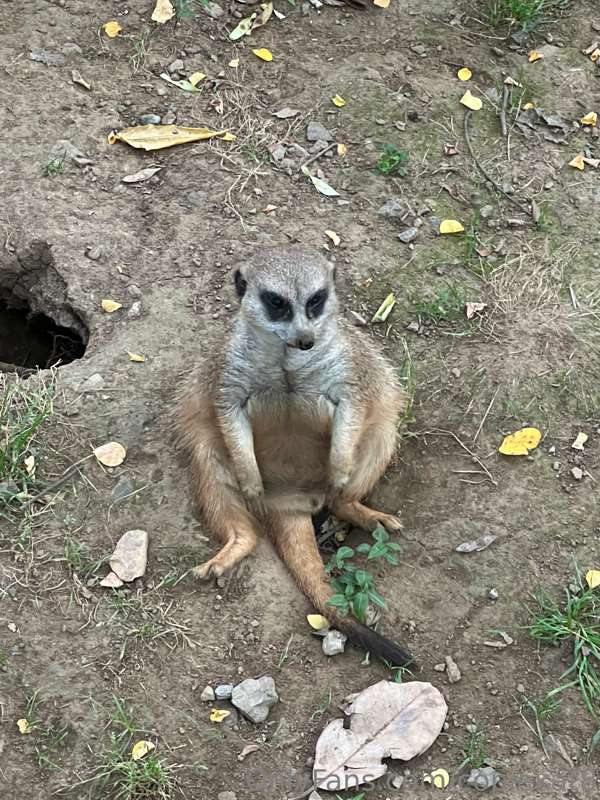 Me sitting hoping someone’s going to buy the nail stuff at t..
