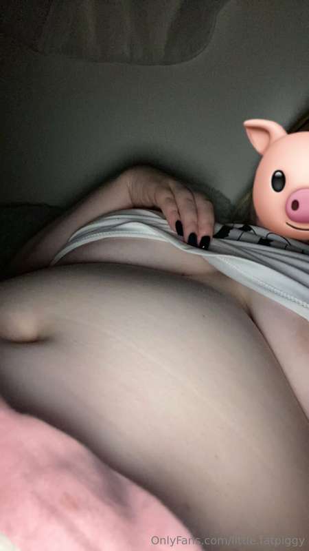 little.fatpiggy