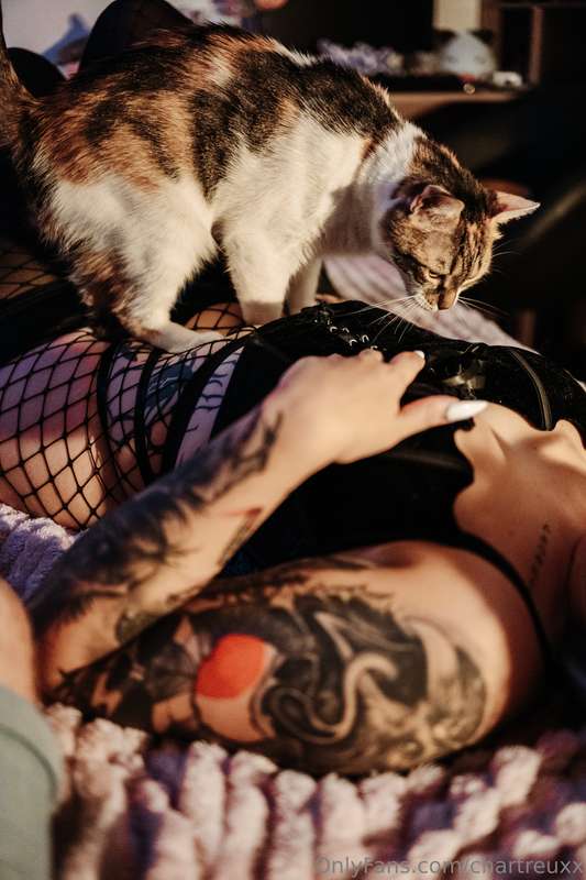 chartreuxx image #3