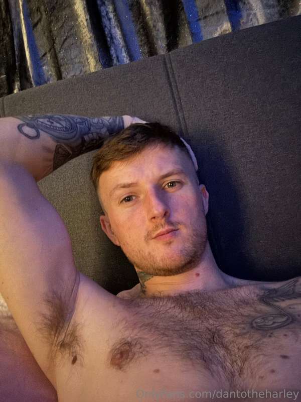 dantotheharley