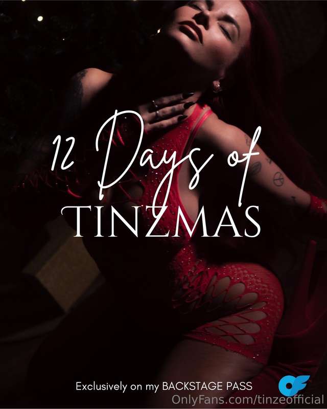 My gift to you this holiday season 🎁12 days of TINZMAS start..