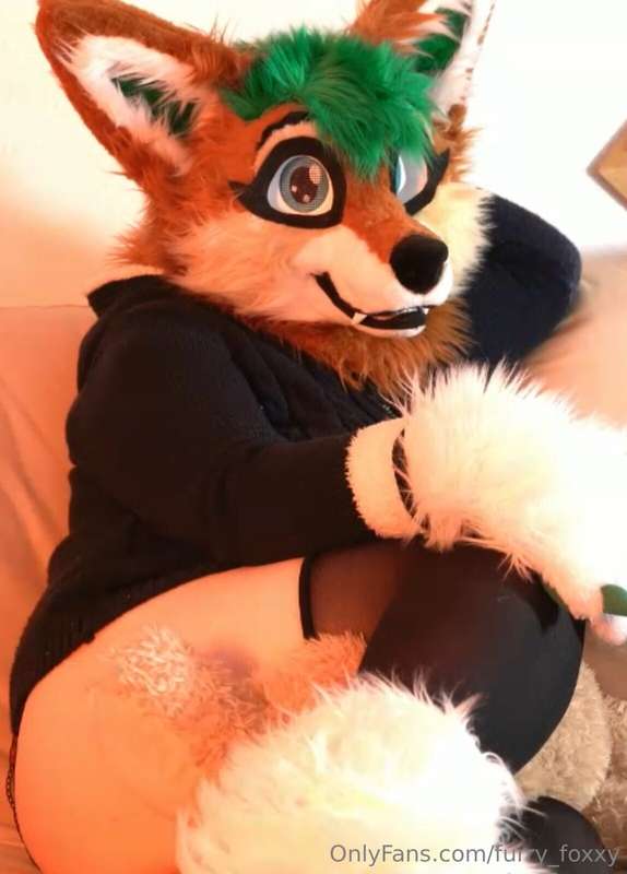 furry_foxxy
