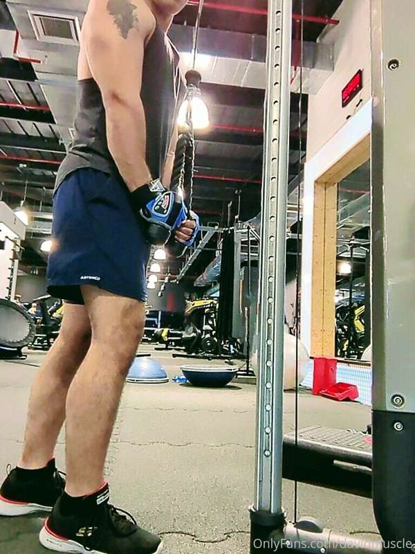 davidmuscle