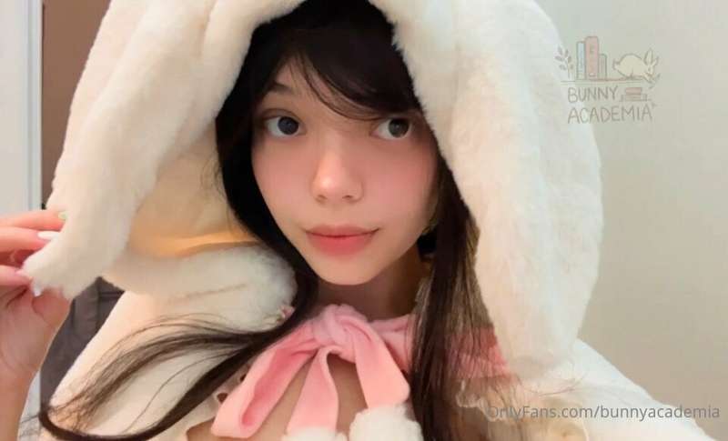 kowaipet