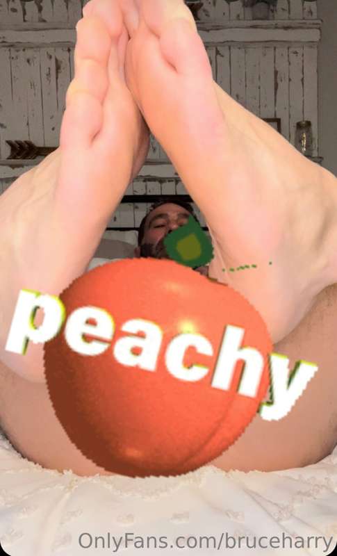 bruceharry