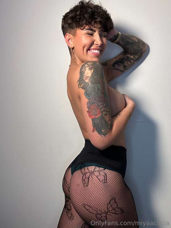 miyaacacia