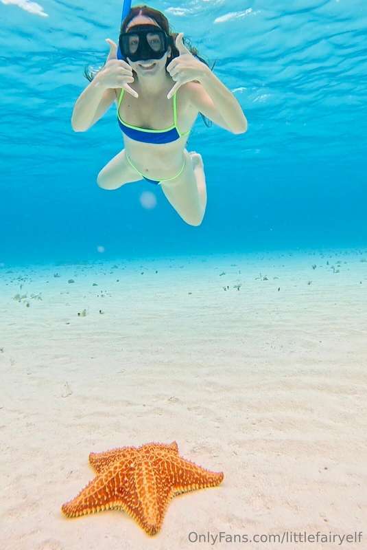 littlefairyelf