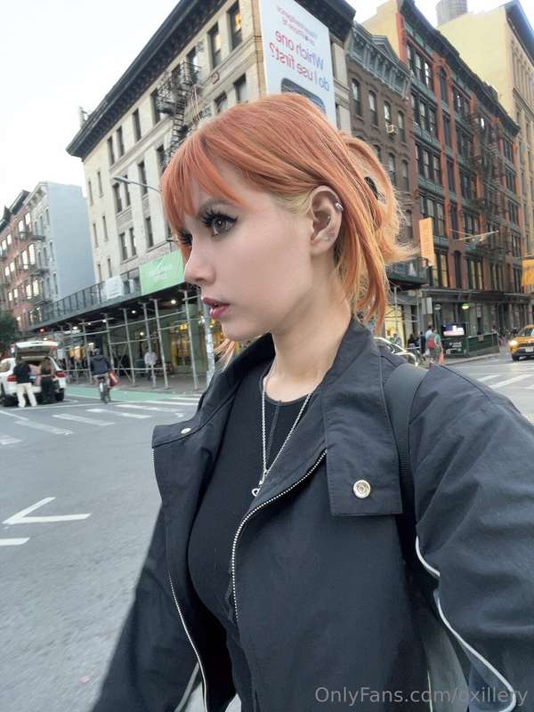 Meow last day in New York 