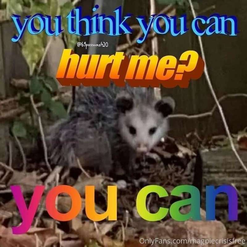 media