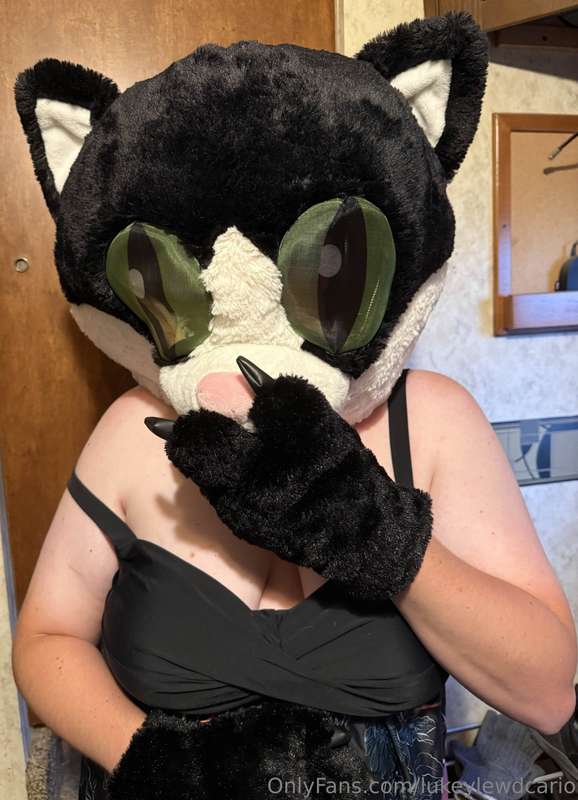 Meow <3 
