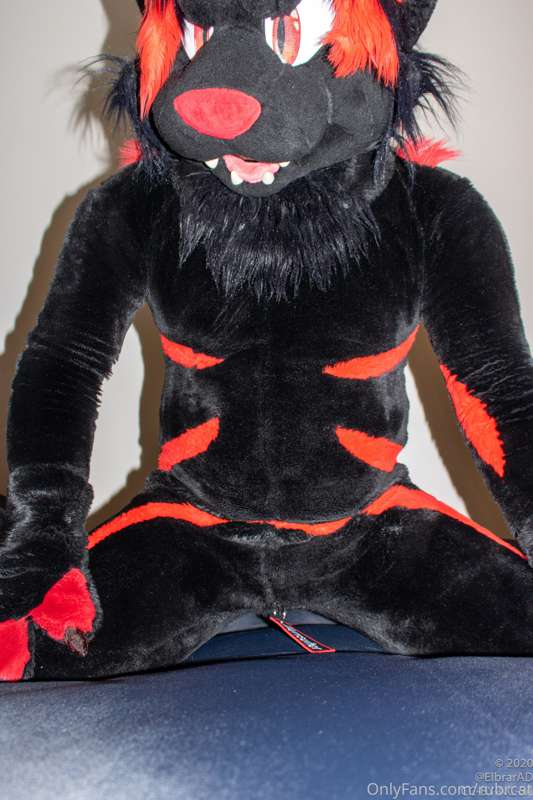 Why yes, my suit does have a zipper down there. Absolutely n..