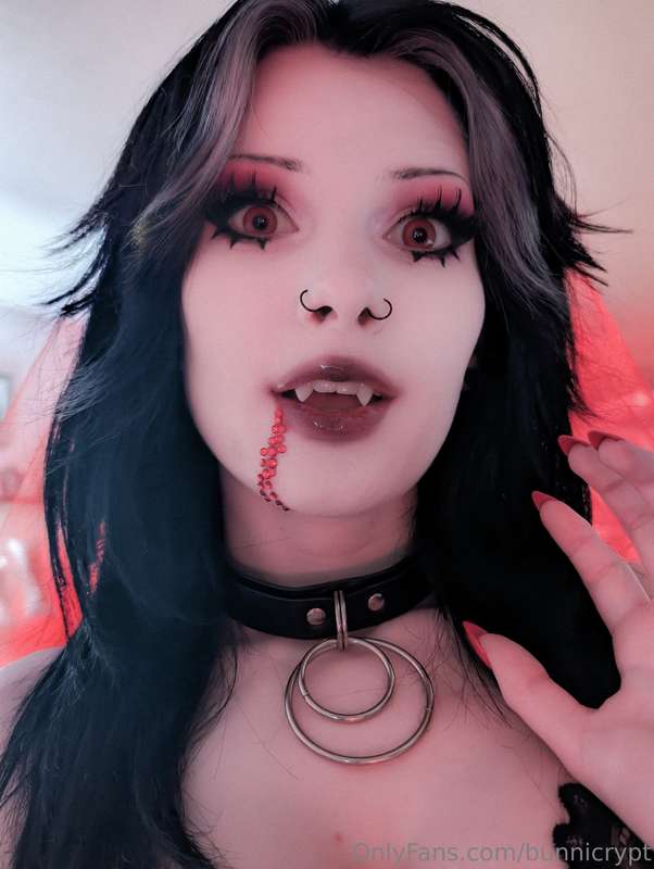 bunnicrypt image #4