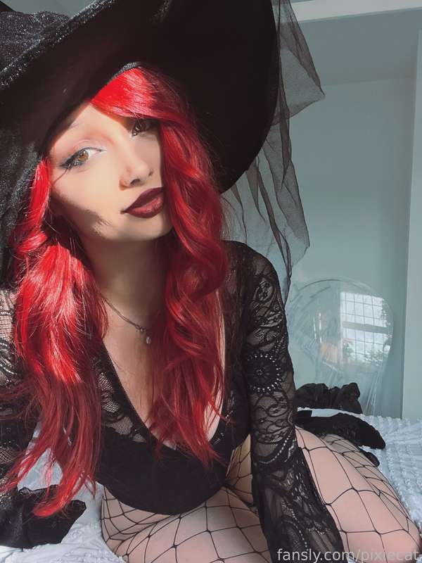 pixiecat image #22