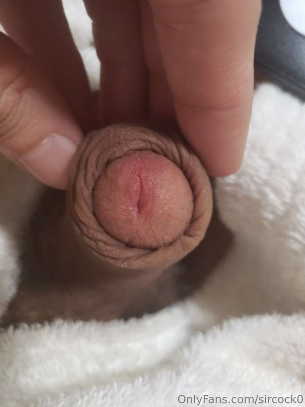 sircock0