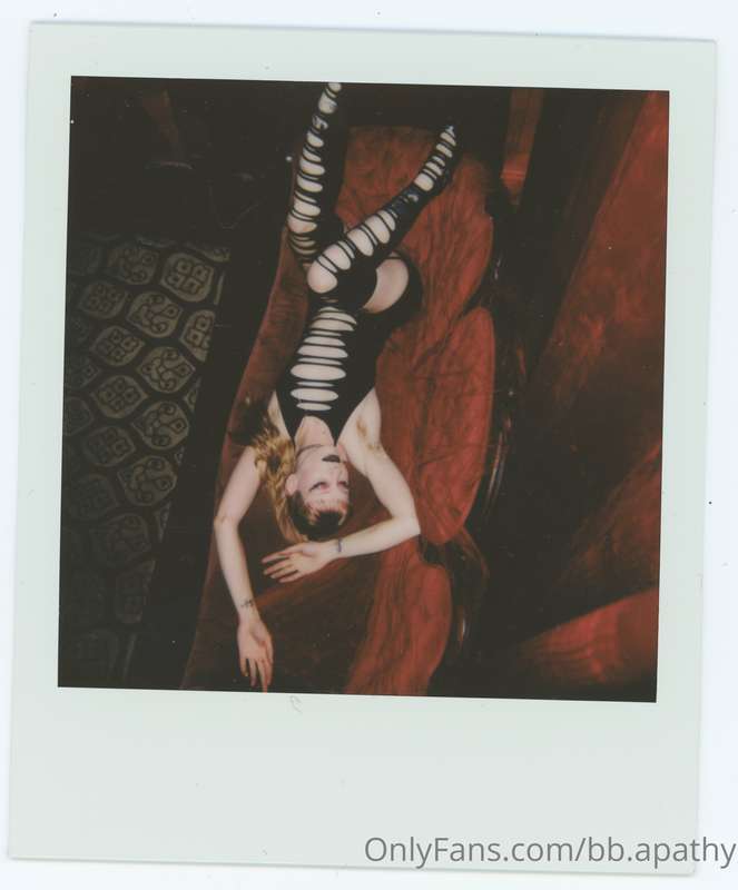 🌹THE VELVET COUCH🌹