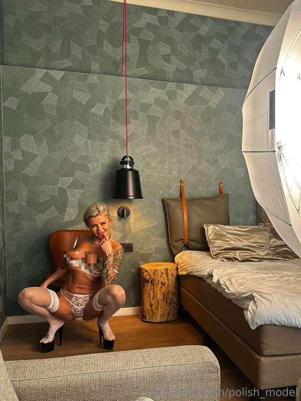 polish_model