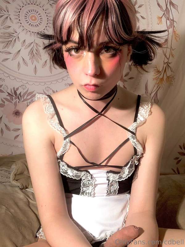 cdbell image #2