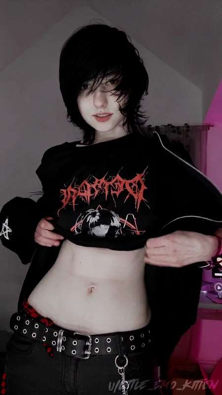 little_emo_kitten photo