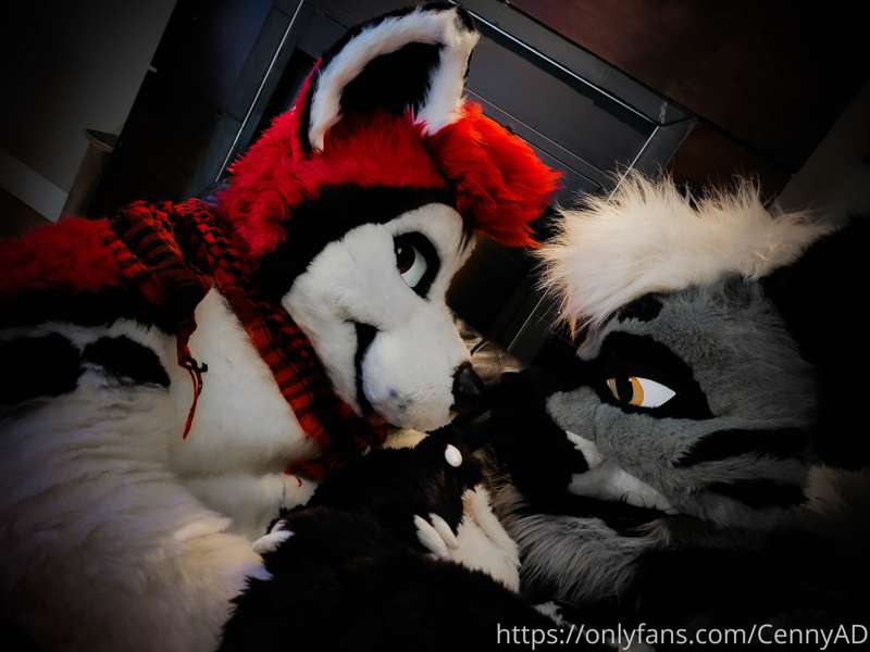 media
