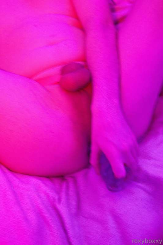 roxyboxxy image #6