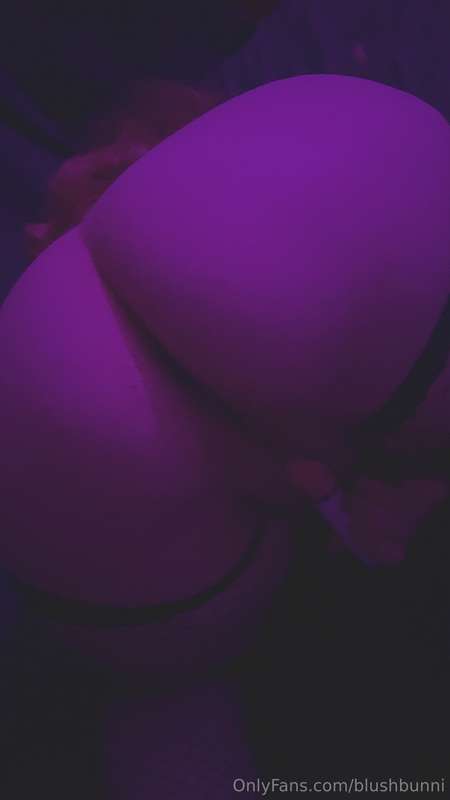 blushbunni