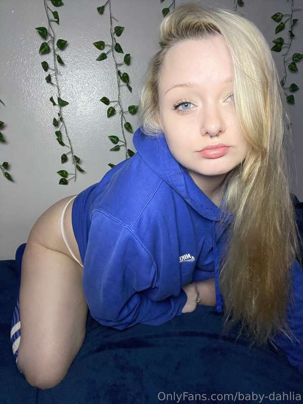 baby-dahlia
