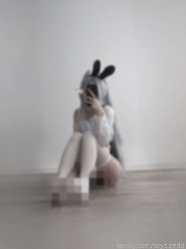 toysizedd image #1