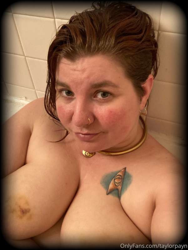 taylorpayn