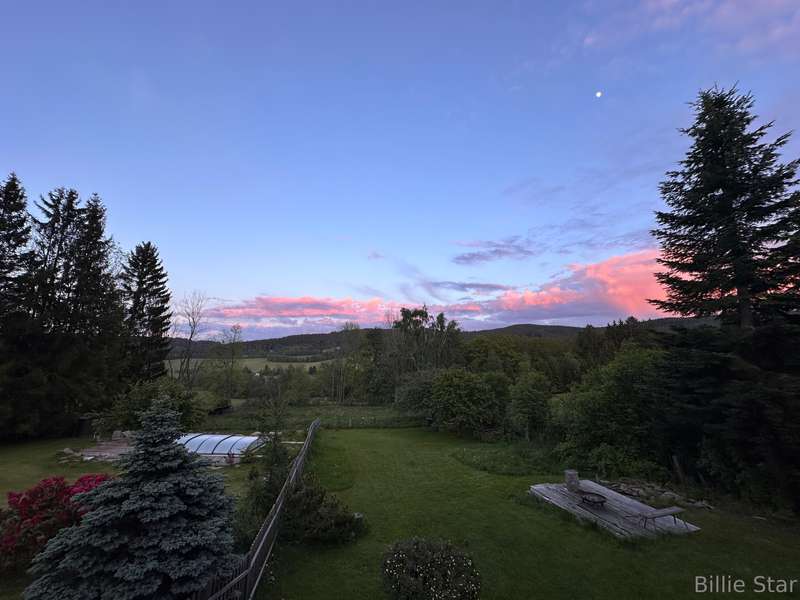 media