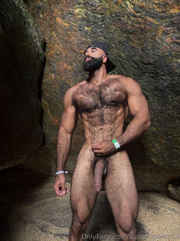 alphatopwolf22 image #3