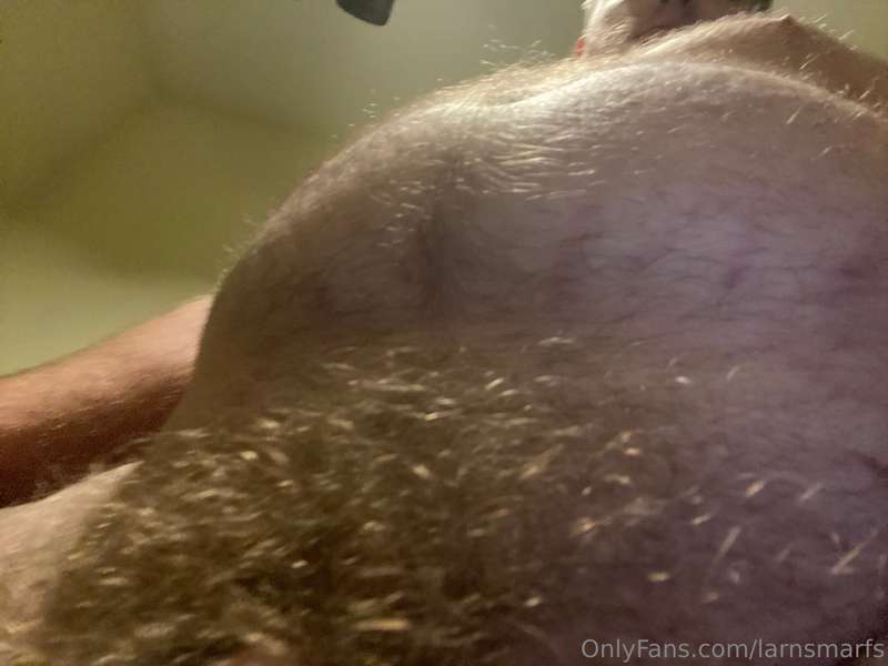 larnsmarfs