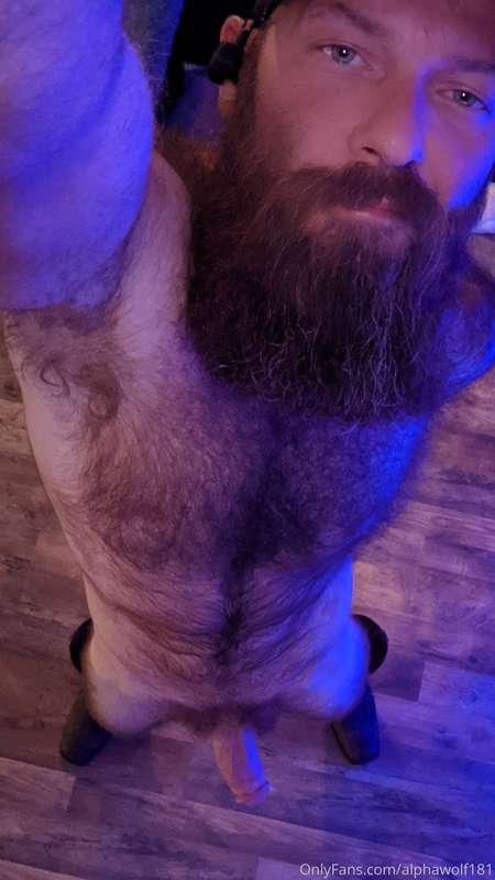 Night ! 🐺