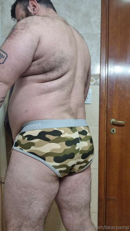 bearpamp