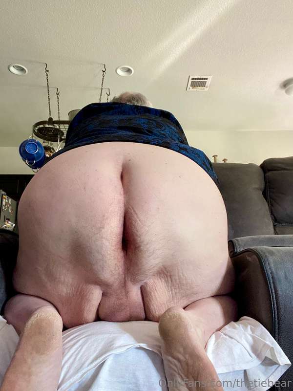 thetiebear