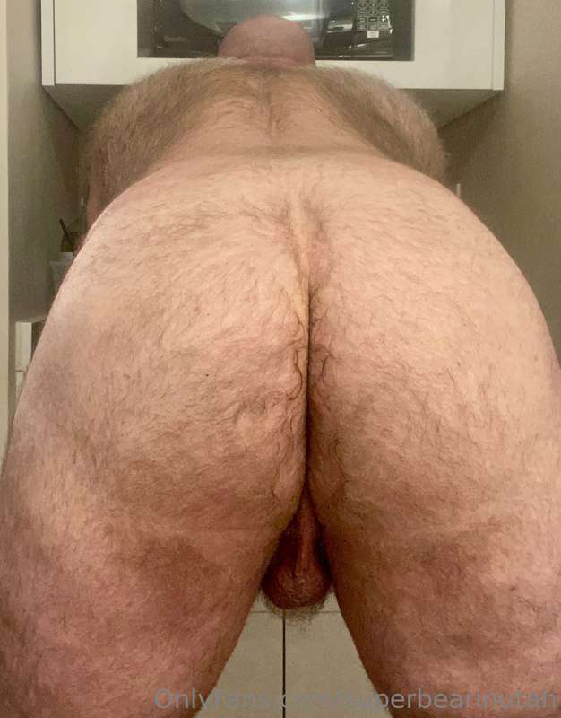 superbearinutah