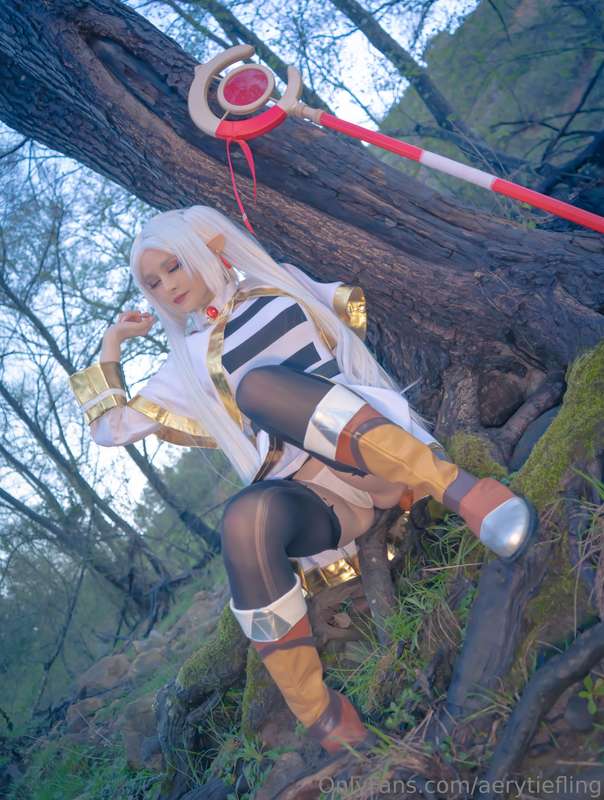 aerytiefling photo