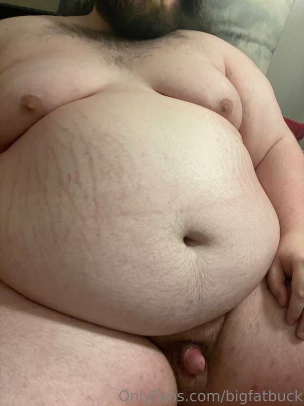 bigfatbuck