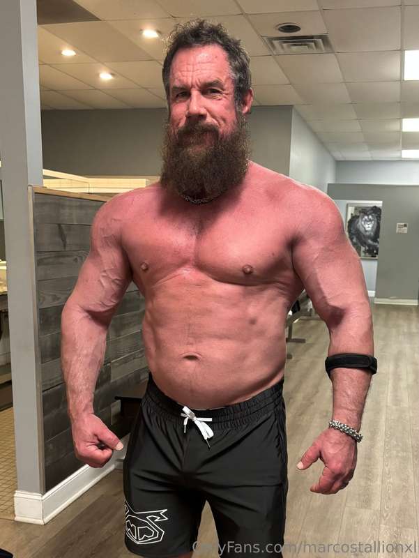 marcostallionxl