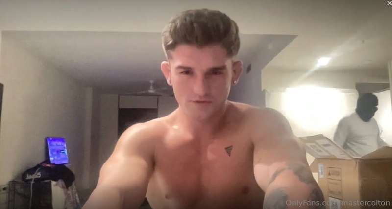 mastercolton