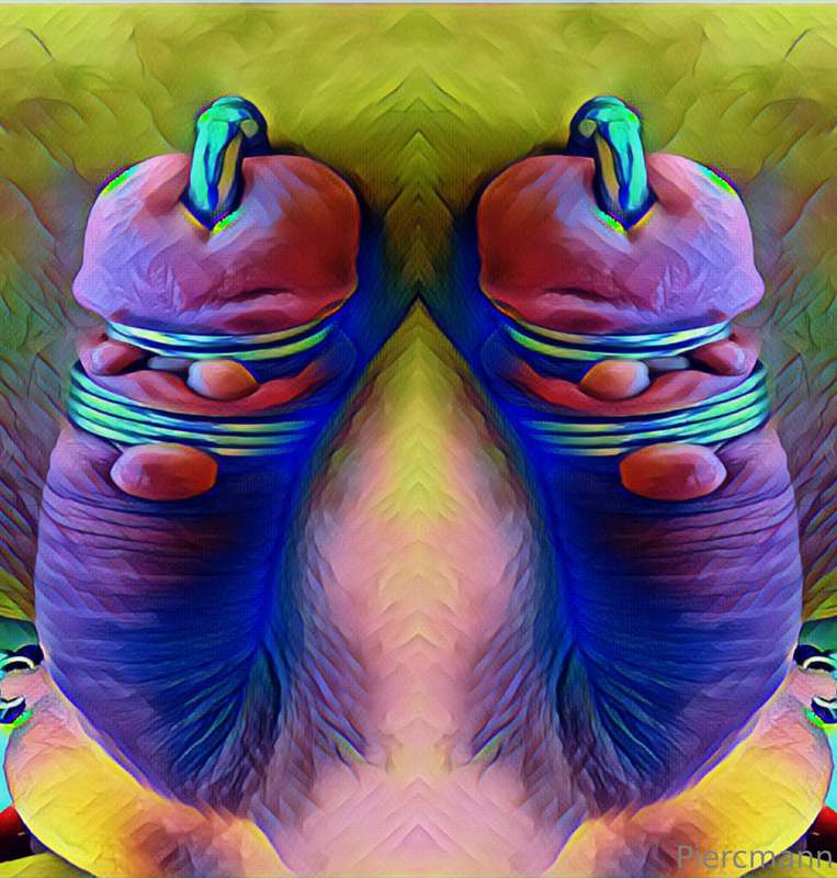 media