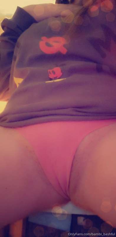 bambi_bashful